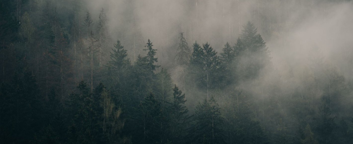 Newsletter Background